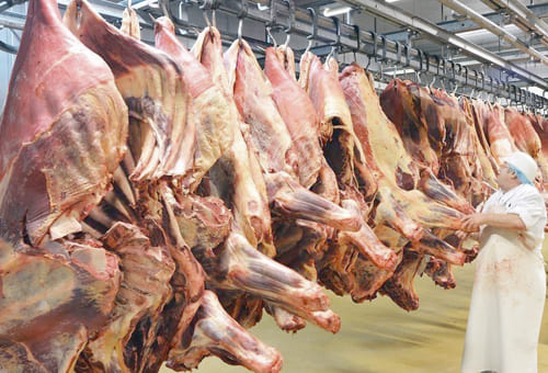 Creció la exportación de carne bovina brasileña en julio y sector generó más divisas