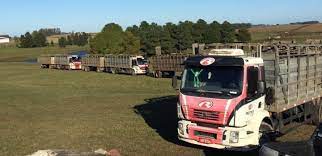 Bajas para Novillo Mercosur por caída de precios en Brasil